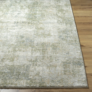 Livabliss Avellino AVL-2336 Light Gray Area Rug