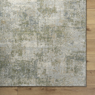 Livabliss Avellino AVL-2336 Light Gray Area Rug