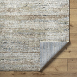 Livabliss Avellino AVL-2337 Light Gray Area Rug