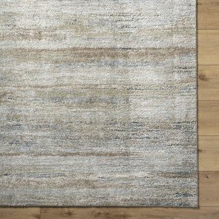 Livabliss Avellino AVL-2337 Light Gray Area Rug