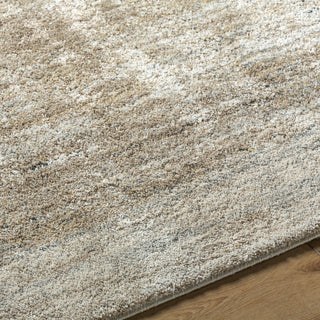 Livabliss Avellino AVL-2340 Light Beige Area Rug