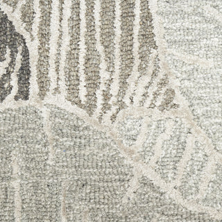 Nourison Avra AVR01 Grey Area Rug Swatch Image