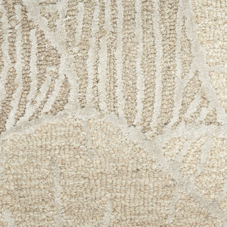 Nourison Avra AVR01 Taupe Area Rug Close Up