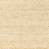 Surya Aylin AYI-2300 Area Rug Swatch