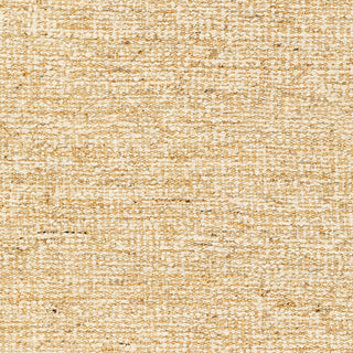 Surya Aylin AYI-2303 Area Rug Swatch