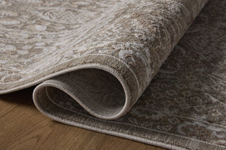 Loloi Aylin AYL-01 Mushroom / Earth Area Rug Pile Image