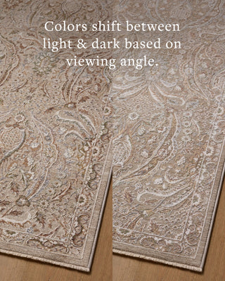 Loloi Aylin AYL-01 Mushroom / Earth Area Rug Angle Image