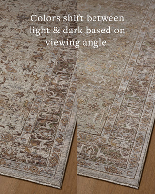 Loloi Aylin AYL-05 Pebble / Multi Area Rug Angle Image