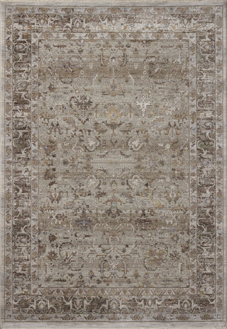 Loloi Aylin AYL-05 Pebble / Multi Area Rug main image