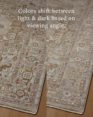 Loloi Aylin AYL-08 Mushroom / Fiesta Area Rug Angle Image
