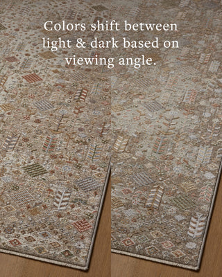 Loloi Aylin AYL-09 Mushroom / Multi Area Rug Angle Image