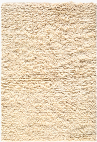 Surya Ayan AYM-2300 Area Rug main image