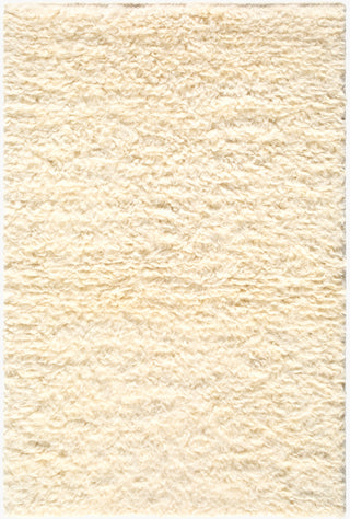 Surya Ayan AYM-2301 Area Rug main image