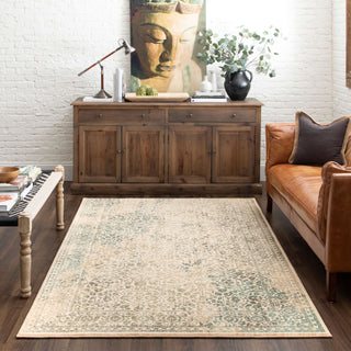 Karastan Euphoria Ayr Natural Area Rug