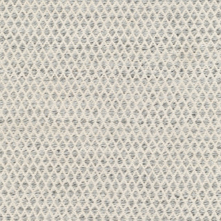 Surya Azalea AZA-2306 Area Rug Swatch