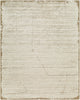 Surya Azad AZD-2302 Tan Area Rug main image