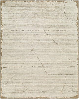 Surya Azad AZD-2302 Tan Area Rug main image