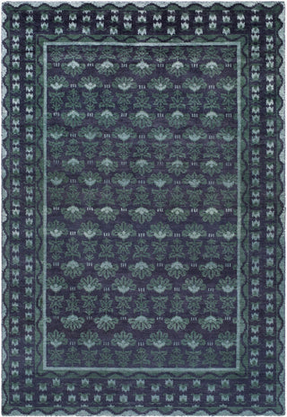 Surya Azule AZE-2300 Area Rug main image