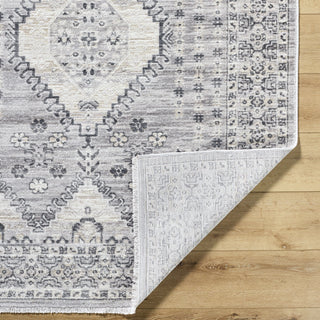 Livabliss Azhar AZR-2300 Area Rug Pile