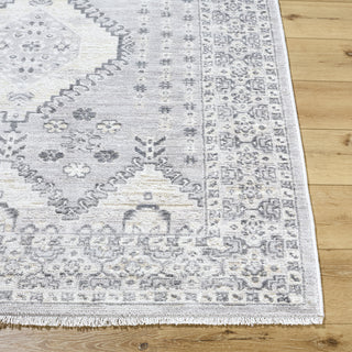 Livabliss Azhar AZR-2300 Area Rug Angle