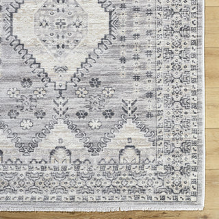 Livabliss Azhar AZR-2300 Area Rug Detail Image