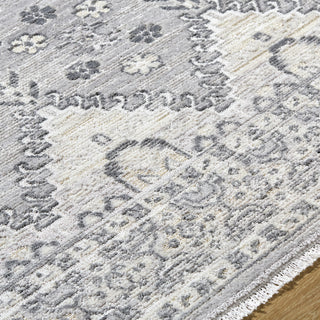 Livabliss Azhar AZR-2300 Area Rug Detail