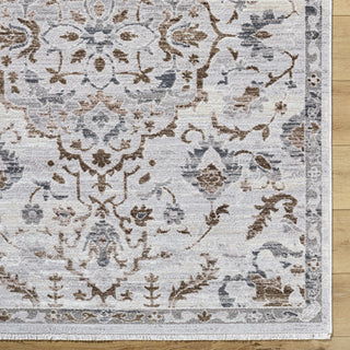 Livabliss Azhar AZR-2301 Area Rug Detail Image