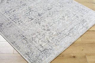 Livabliss Azhar AZR-2302 Area Rug main image