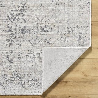Livabliss Azhar AZR-2302 Area Rug Pile
