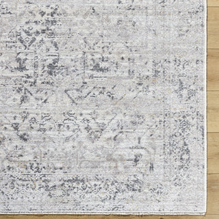 Livabliss Azhar AZR-2302 Area Rug Detail Image