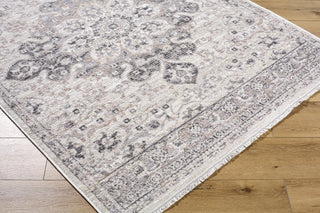 Livabliss Azhar AZR-2303 Area Rug main image
