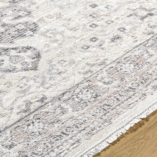 Livabliss Azhar AZR-2303 Area Rug Detail