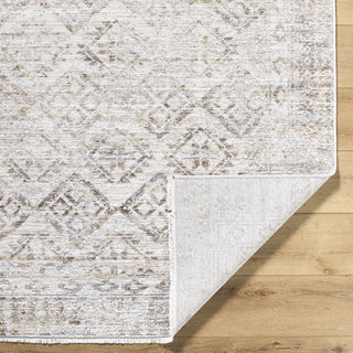 Livabliss Azhar AZR-2304 Area Rug Pile