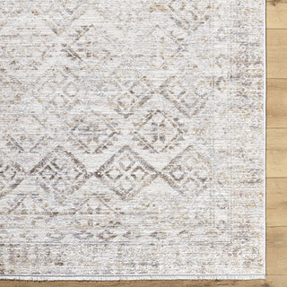 Livabliss Azhar AZR-2304 Area Rug Detail Image