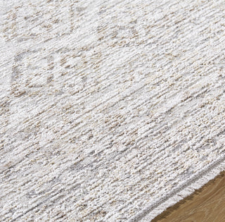 Livabliss Azhar AZR-2304 Area Rug Detail