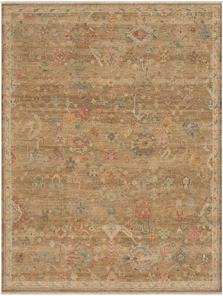 Karastan Sundar Bahu Brown Area Rug main image
