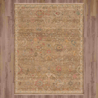 Karastan Sundar Bahu Brown Area Rug Main Image