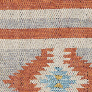 Nourison Baja BAJ03 Ivory/Grey Area Rug Swatch Image