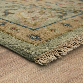 Karastan Balboa Alicante Sage Area Rug