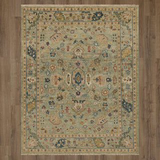 Karastan Balboa Alicante Sage Area Rug