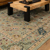 Karastan Balboa Alicante Sage Area Rug Lifestyle Image Feature