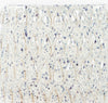 Surya Blackwell BAW-002 White / Furniture Swatch