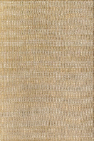 Surya Boston BBT-2307 Tan Area Rug