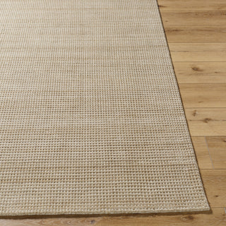 Surya Boston BBT-2307 Tan Area Rug