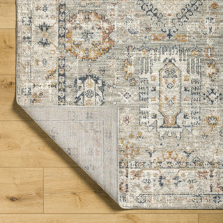 Livabliss Beckham BCM-2315 Area Rug