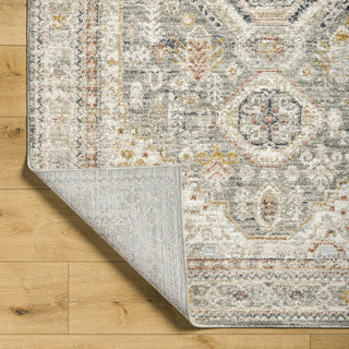 Livabliss Beckham BCM-2324 Area Rug