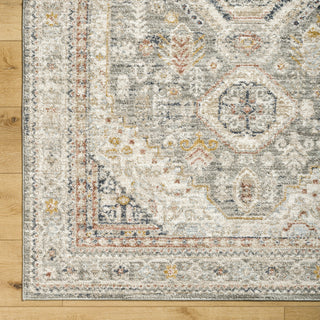 Livabliss Beckham BCM-2324 Area Rug