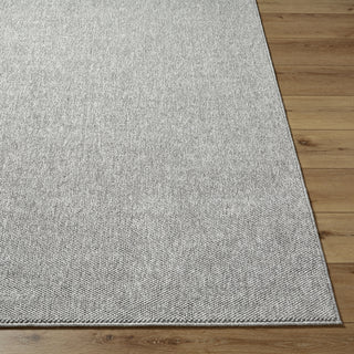 Livabliss Bouclair BCR-2300 Area Rug