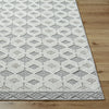 Livabliss Bouclair BCR-2307 Area Rug