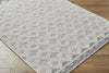 Livabliss Bouclair BCR-2308 Area Rug